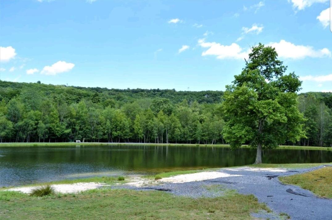 *Amenity-Filled Waterfront Oasis @Saw Creek Estates Near Waterfalls And Hiking* Восток Страудсберг Экстерьер фото