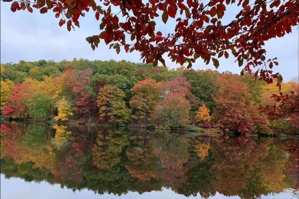 *Amenity-Filled Waterfront Oasis @Saw Creek Estates Near Waterfalls And Hiking* Восток Страудсберг Экстерьер фото
